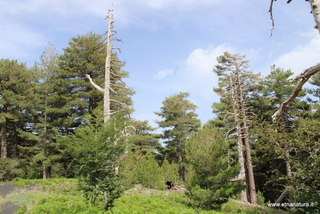 Golfo della Monaca